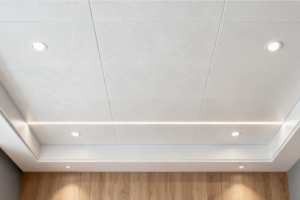 四维星专业集成吊顶效果图设计软件，助您打造理想空间